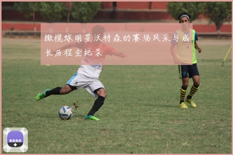 橄榄球明星沃特森的赛场风采与成长历程全纪录