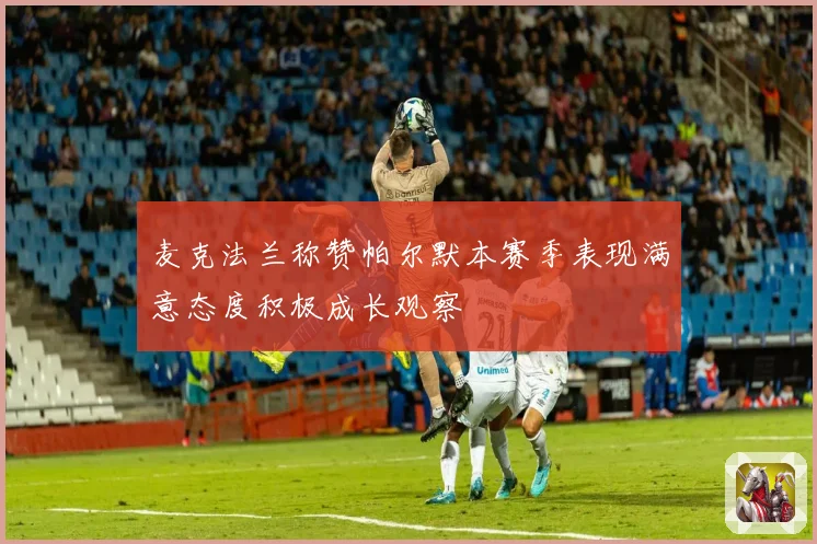 麦克法兰称赞帕尔默本赛季表现满意态度积极成长观察