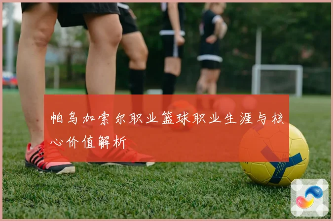 帕乌加索尔职业篮球职业生涯与核心价值解析