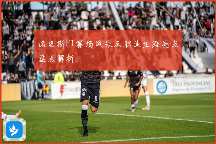 诺里斯F1赛场风采及职业生涯亮点盘点解析